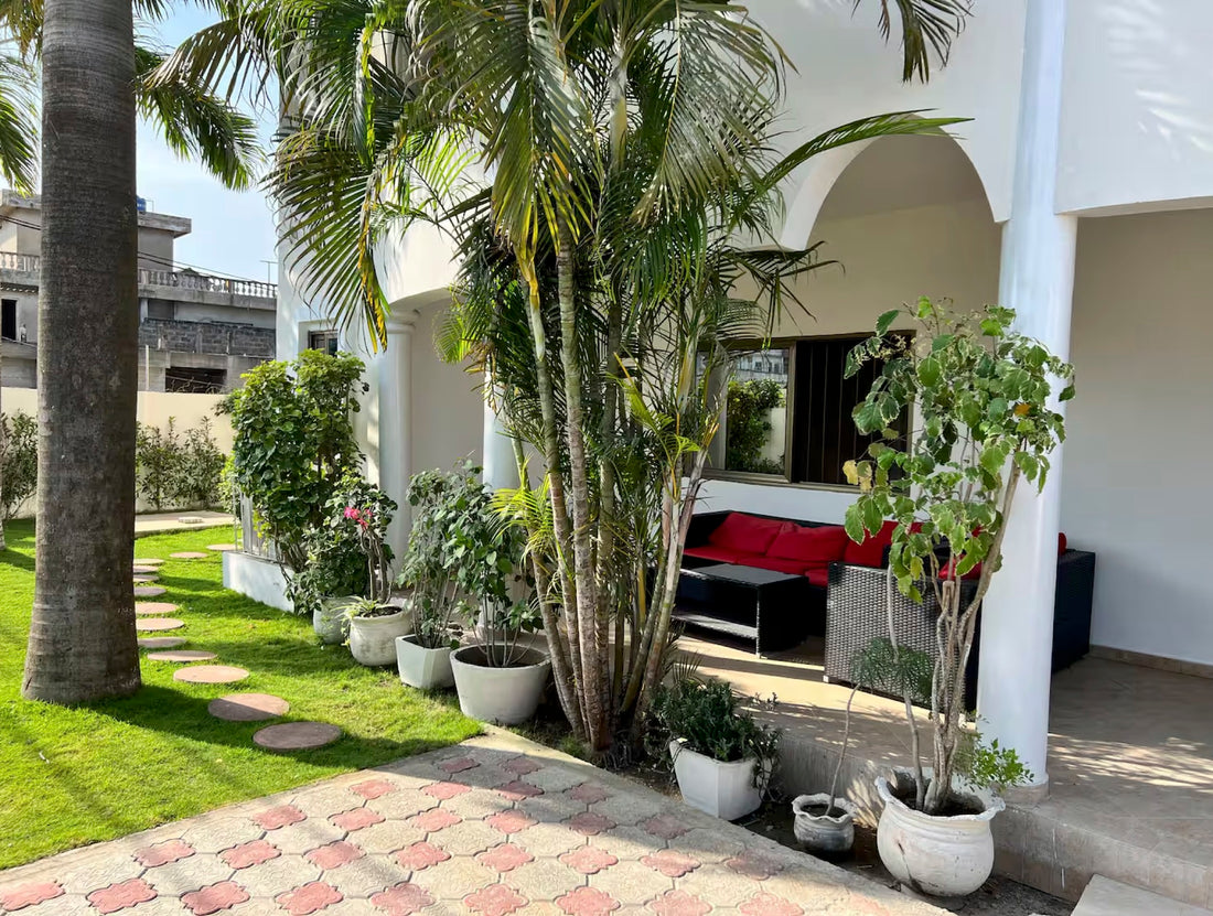 Voyage bien-être Bénin, Cotonou