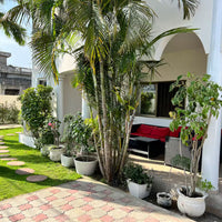 Voyage bien-être Bénin, Cotonou